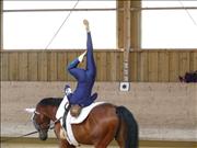 voltitag 2009 _CD1 101